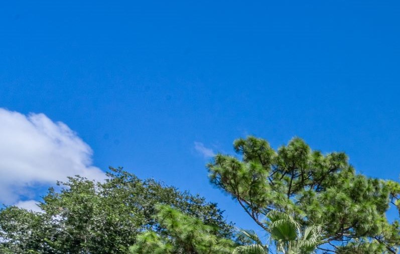 The Avenues at Winter Springs Apartments in Winter Springs, FL